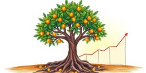 O Guia Completo para Investir a Longo Prazo